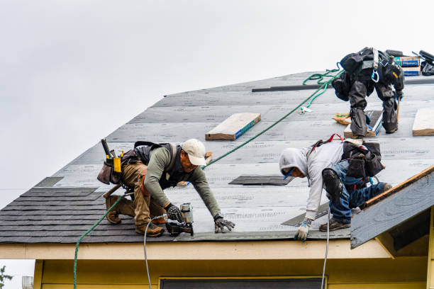 Professional Gutter Installation technician working in Amelia, LA